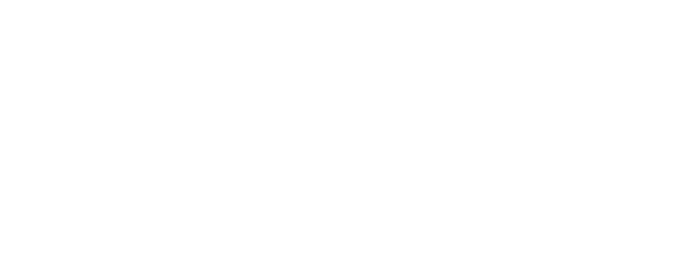 irwin Logo
